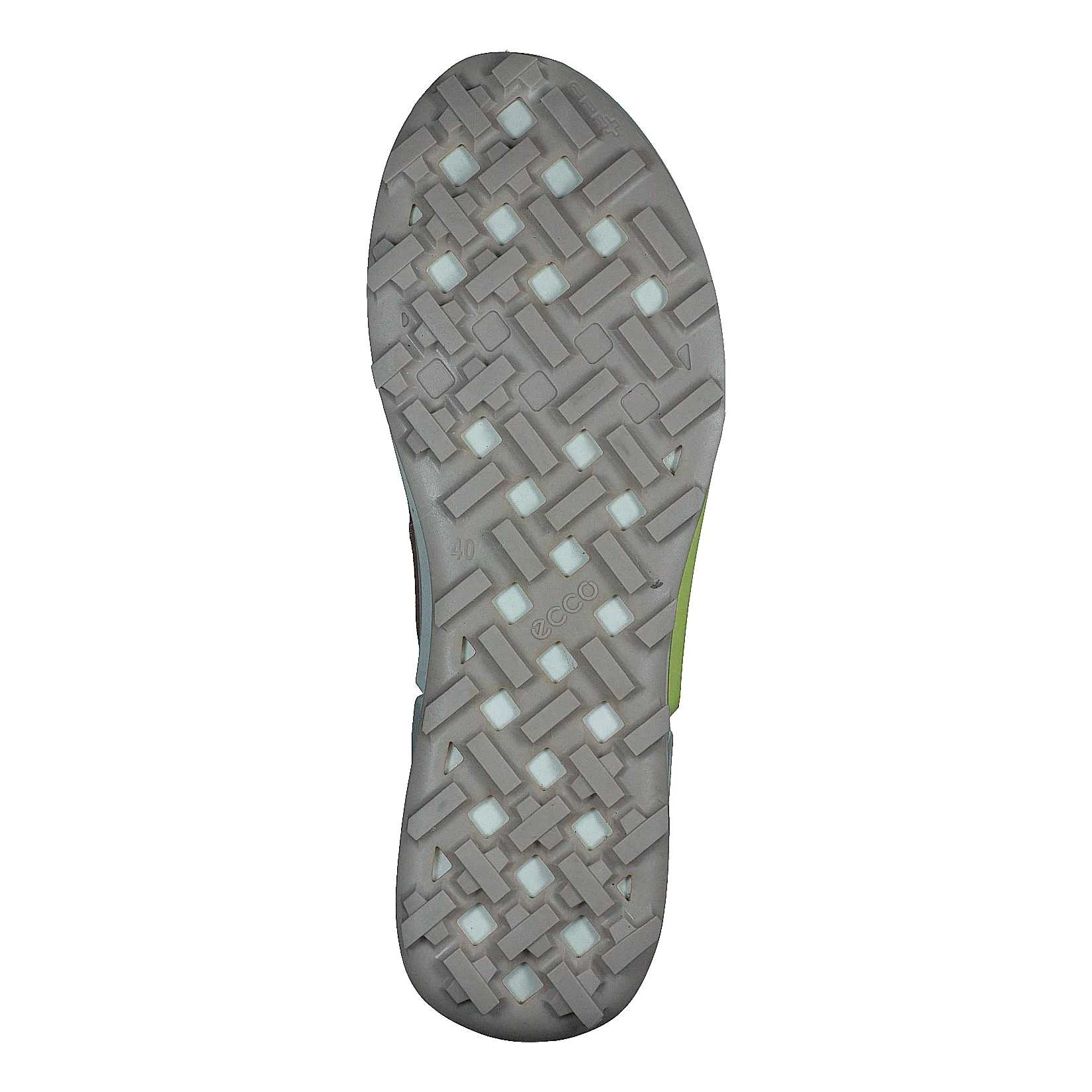 Ecco Biom 2.1 X Country W Morel/tuscany/morel